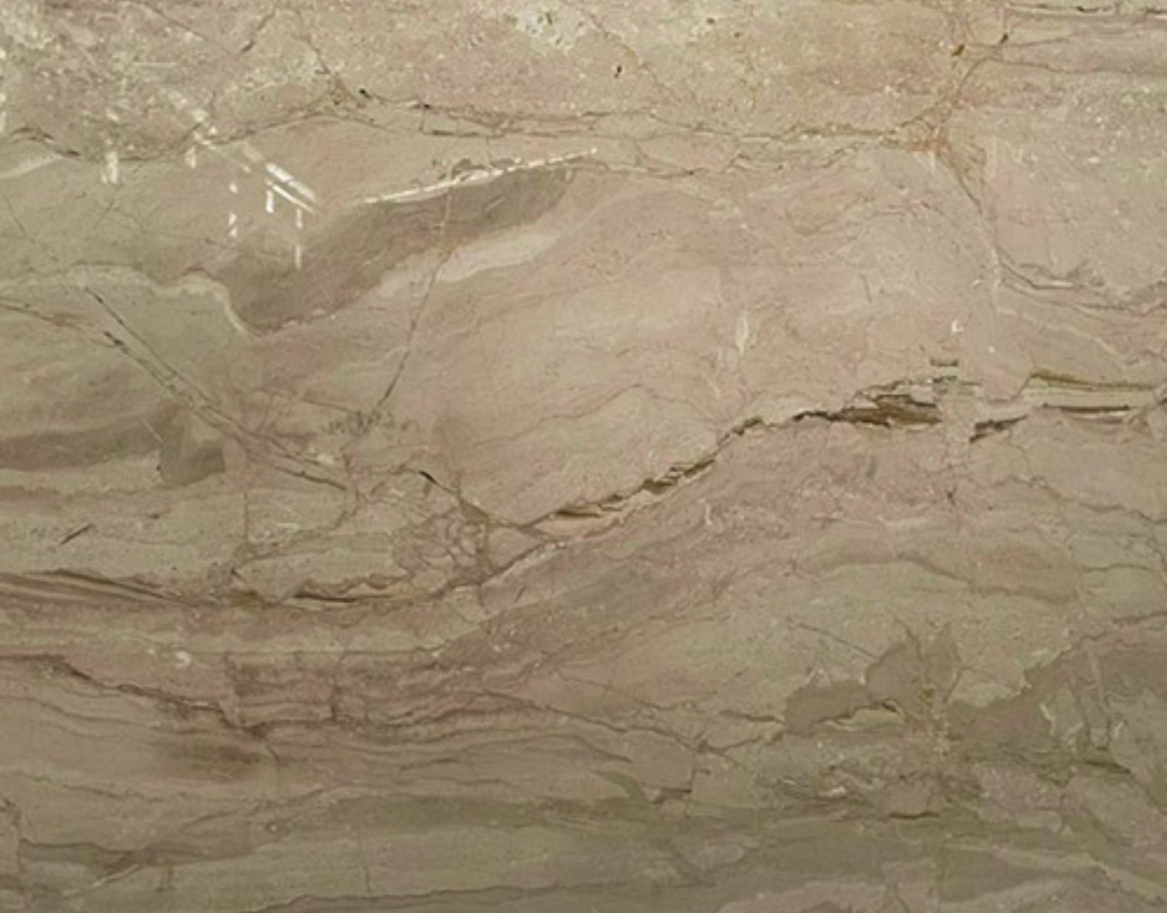 Daino Beige Marble